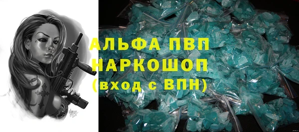 стафф Козловка